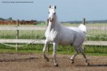 /album/fotogalerie-khen-saabis-effendi/C-mgroger-4hs4643-1-jpg/